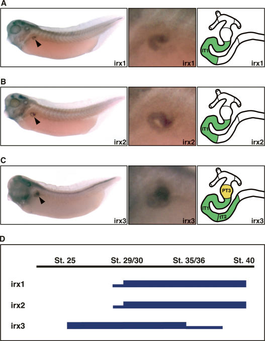 Figure 2.