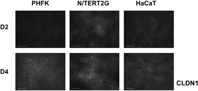 Figure 3