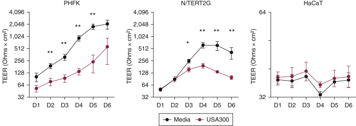 Figure 4