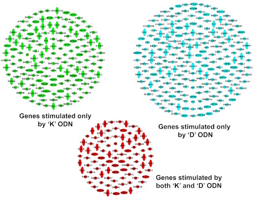 Figure 3.