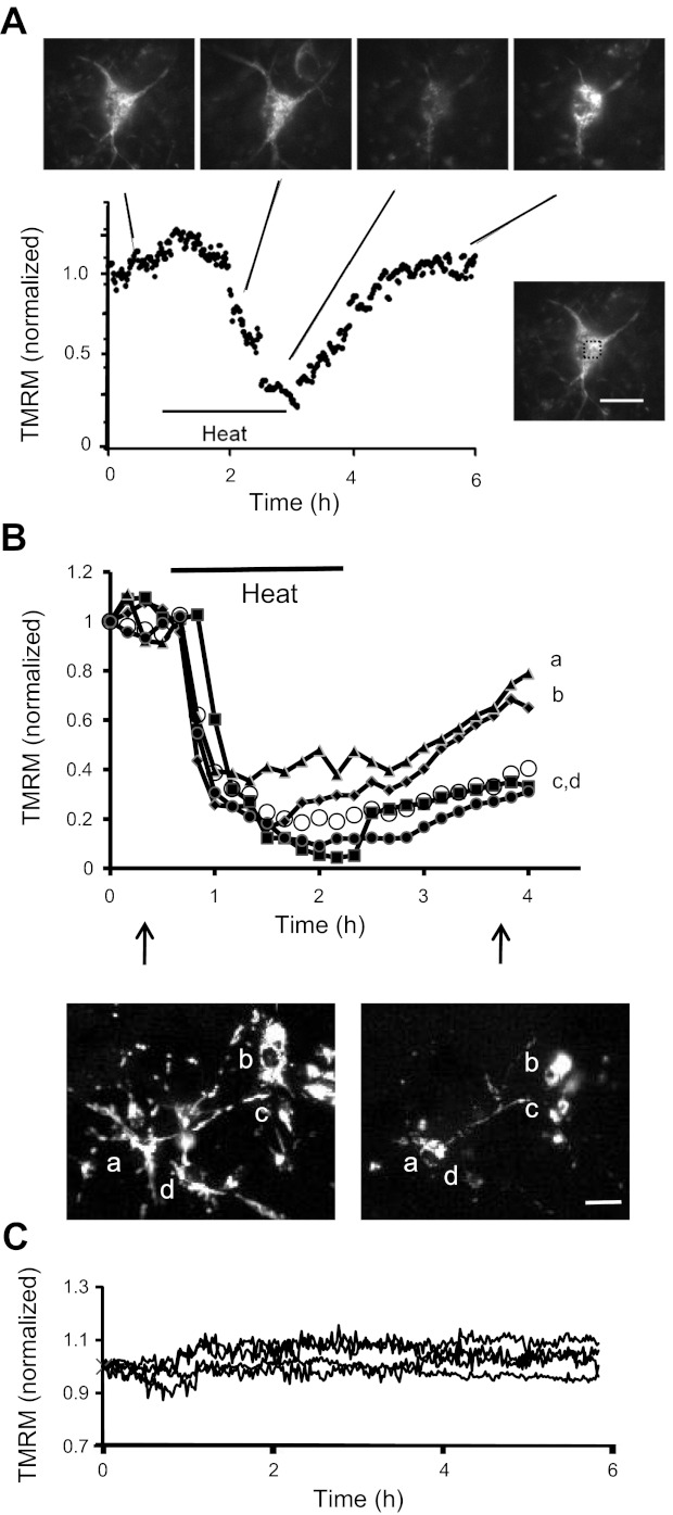 Fig. 2.