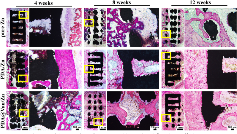 Fig. 7