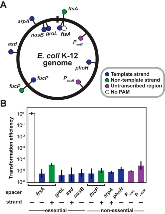 FIG 3 