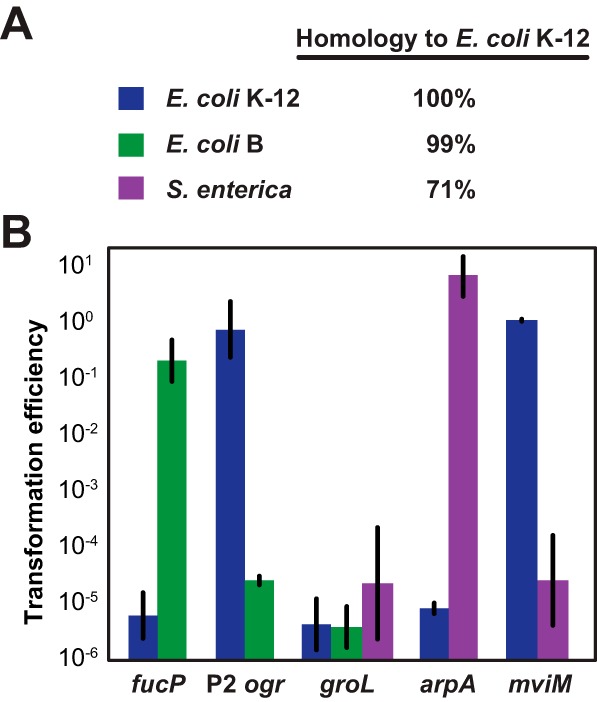 FIG 4 