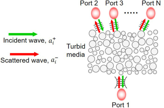 Fig. 1