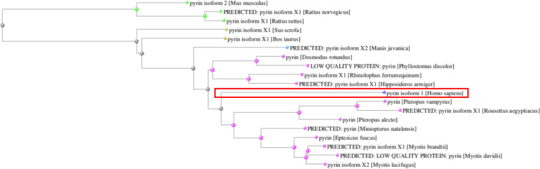 FIGURE 3