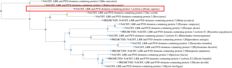 FIGURE 4