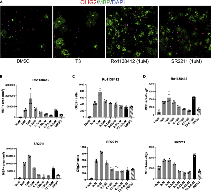 Figure 6