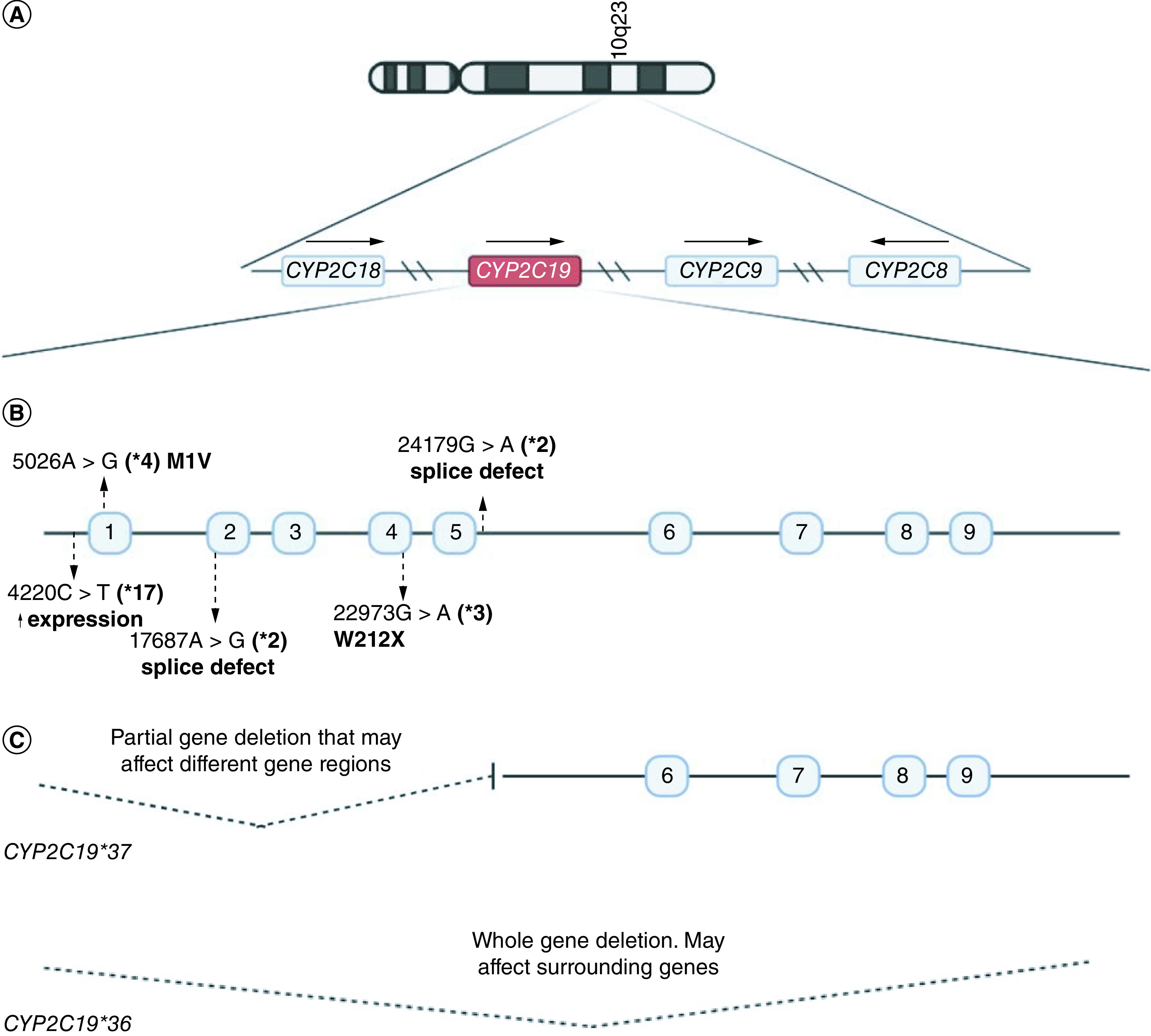 Figure 1. 