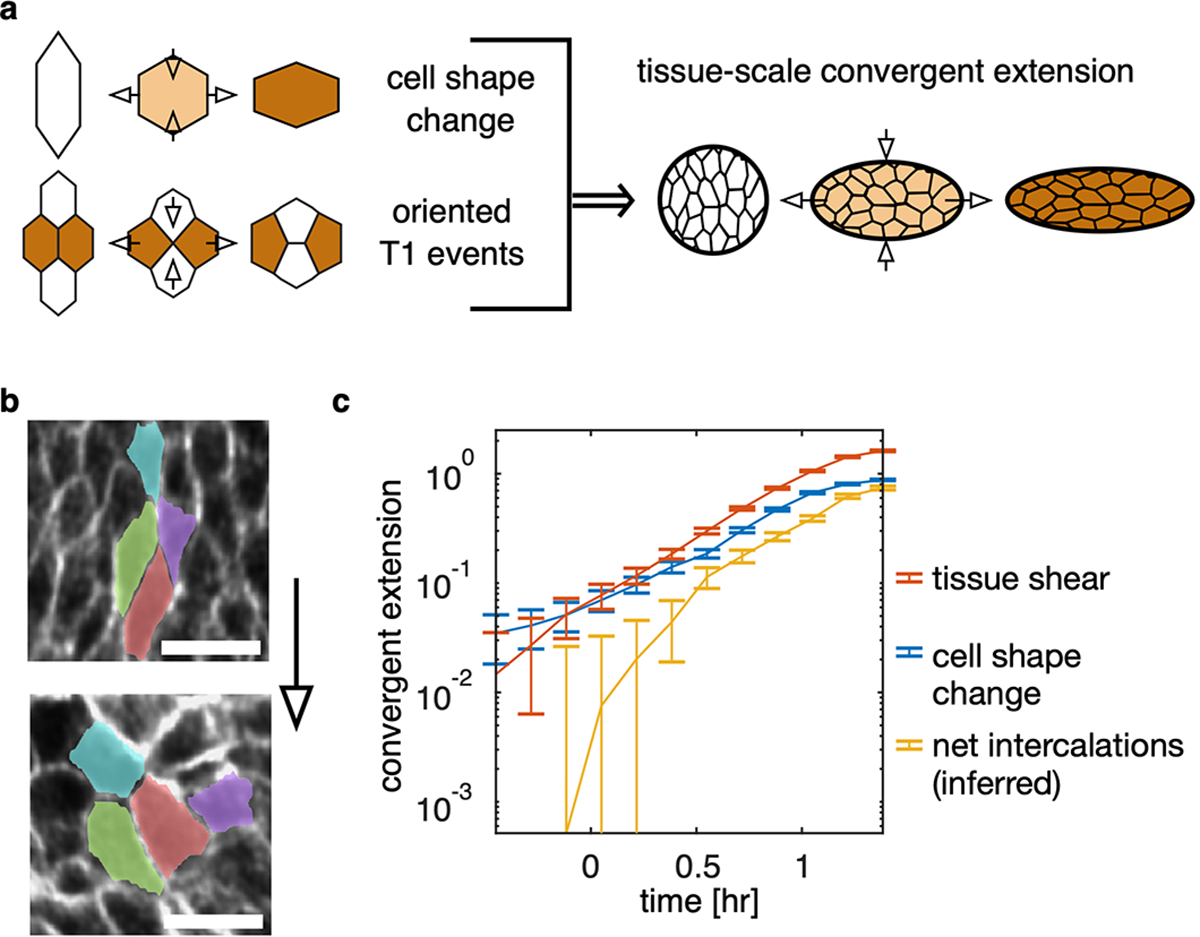 FIG. Extended Data Fig. 3.