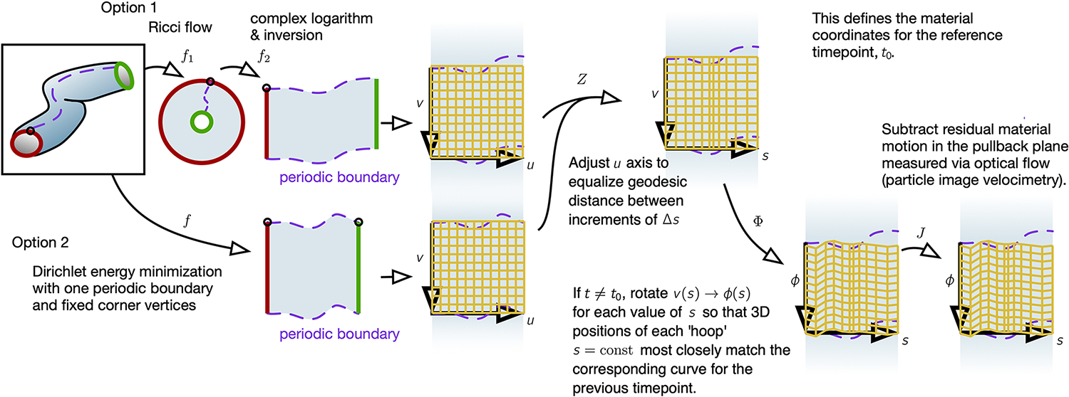 FIG. Extended Data Fig. 1.