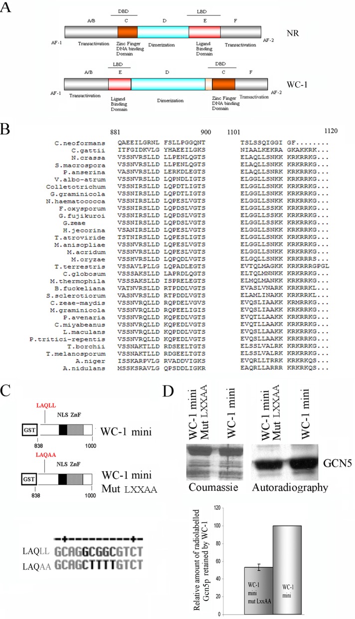 FIGURE 4: