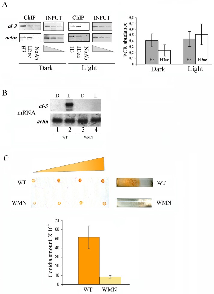 FIGURE 3: