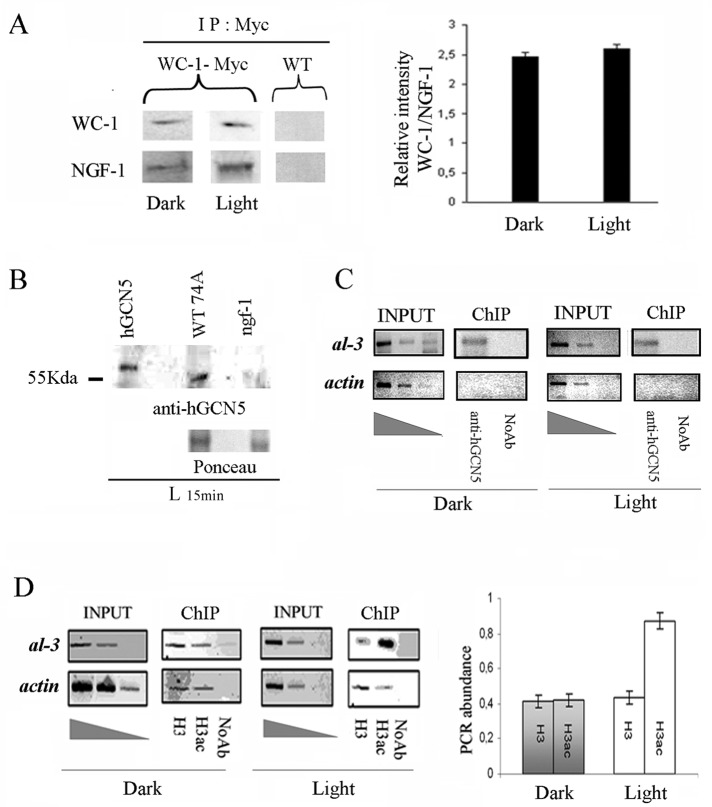 FIGURE 1: