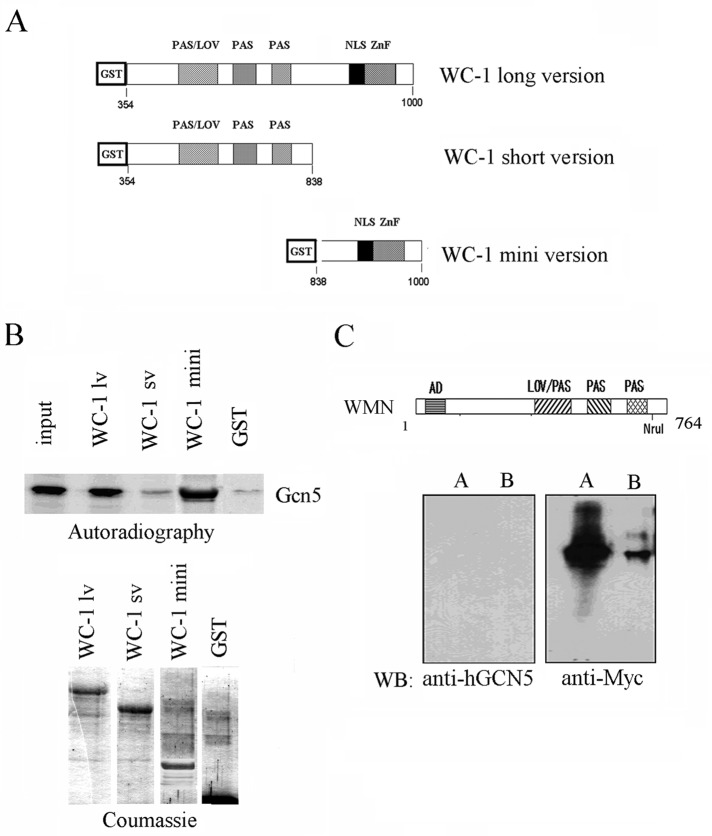 FIGURE 2: