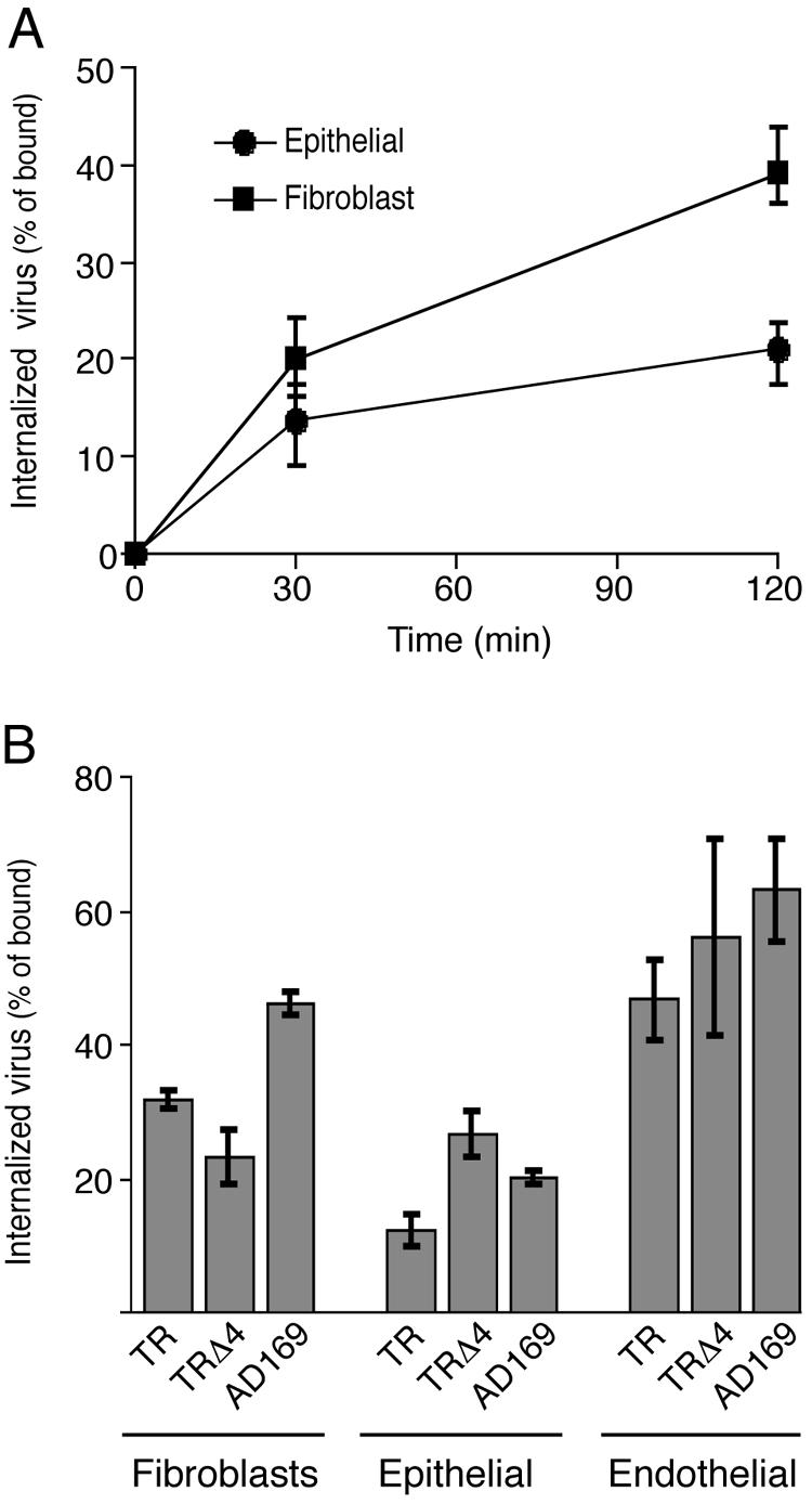 FIG. 4.