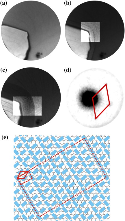 Fig. 7