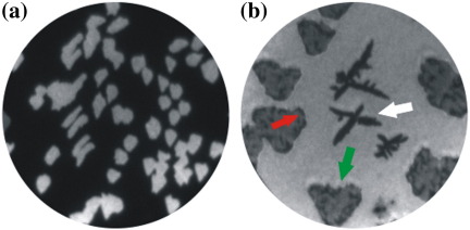 Fig. 4