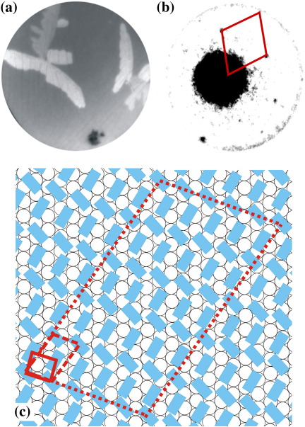 Fig. 3