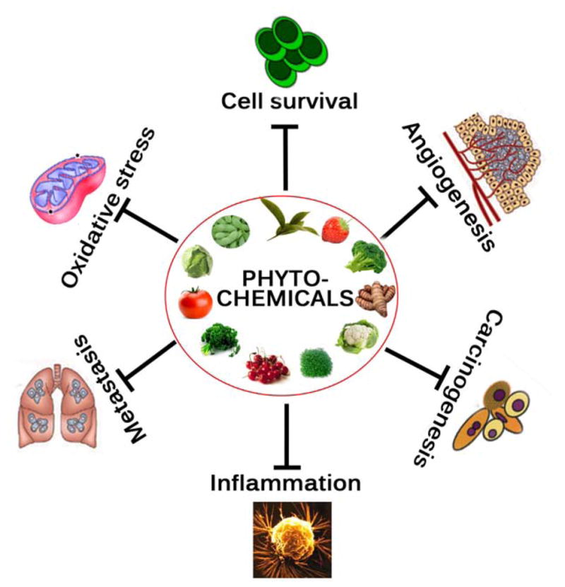 Fig. (3)