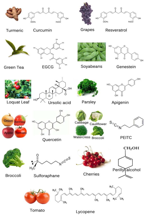 Fig. (2)