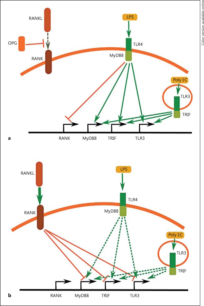 Fig. 11