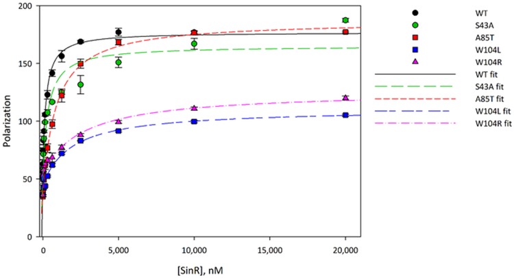 FIG 6 