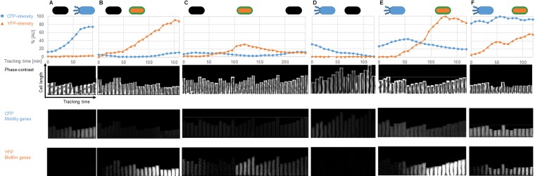 FIG 2 