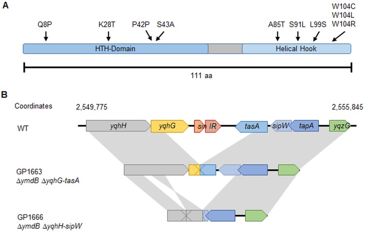 FIG 4 