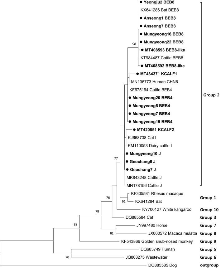 Fig. 1