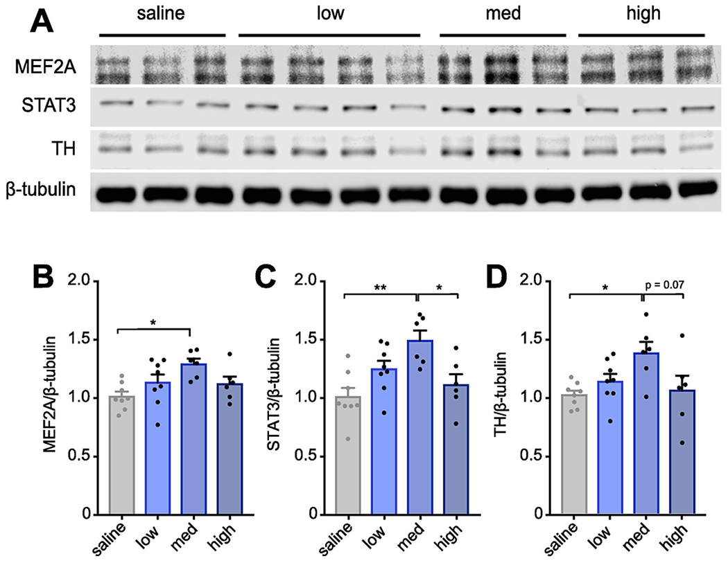 Figure 5.