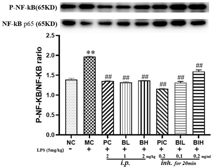 Fig. 6