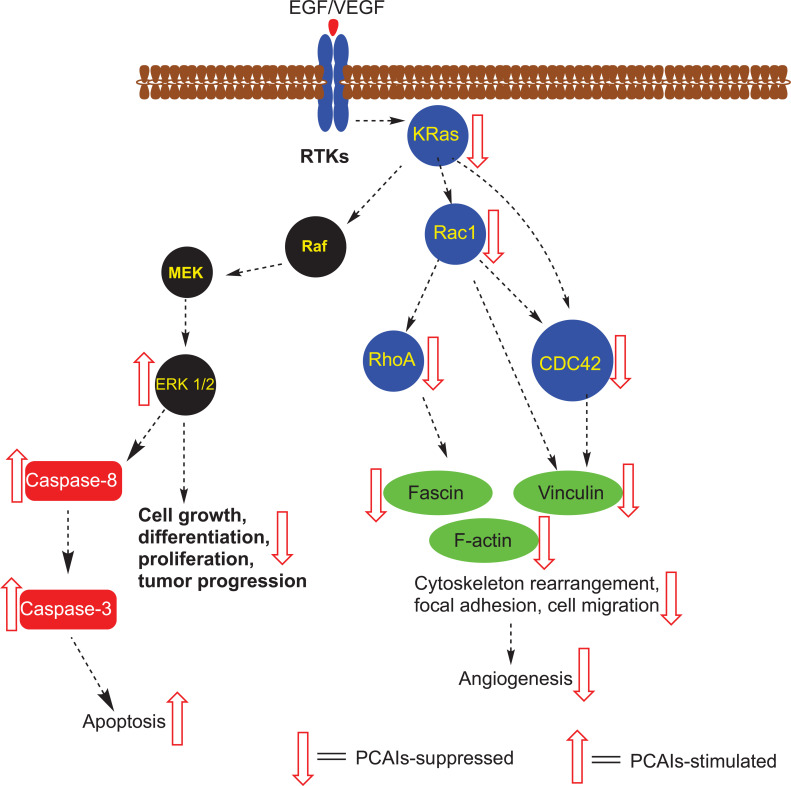 Fig. (6)