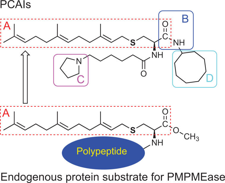 Fig. (3)