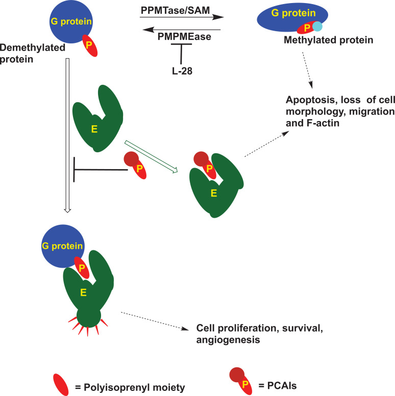 Fig. (4)