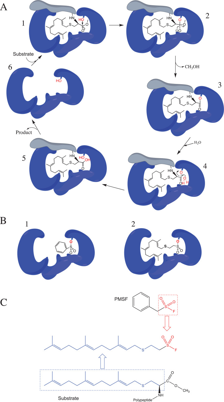 Fig. (2)