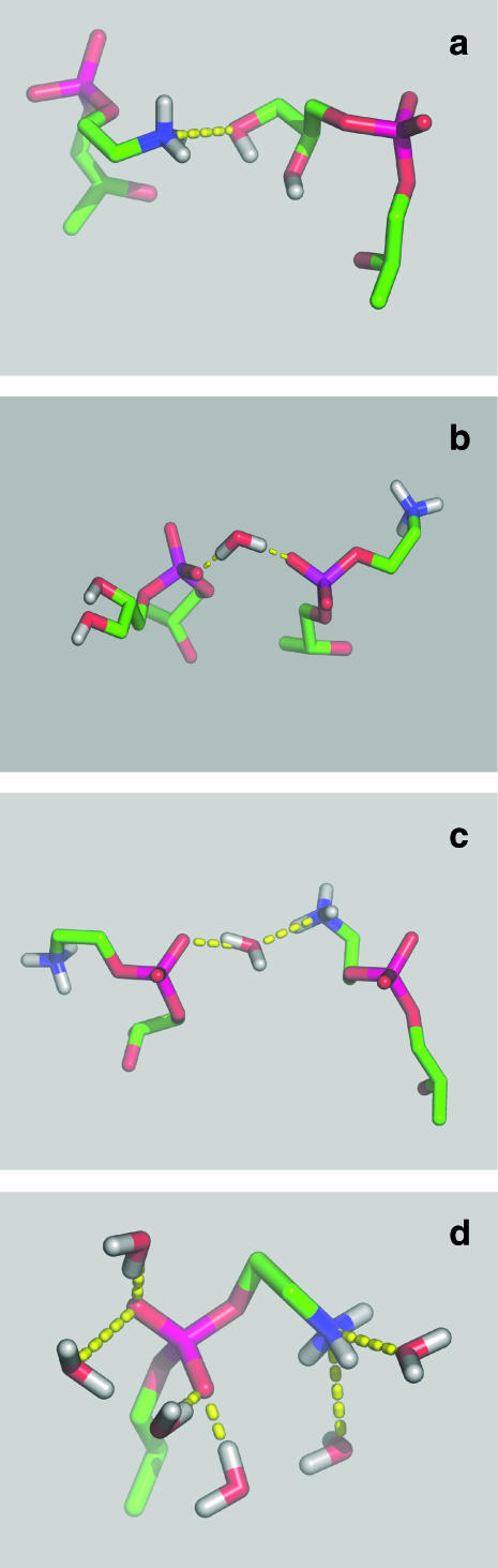 FIGURE 3