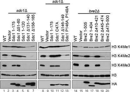 FIGURE 7.