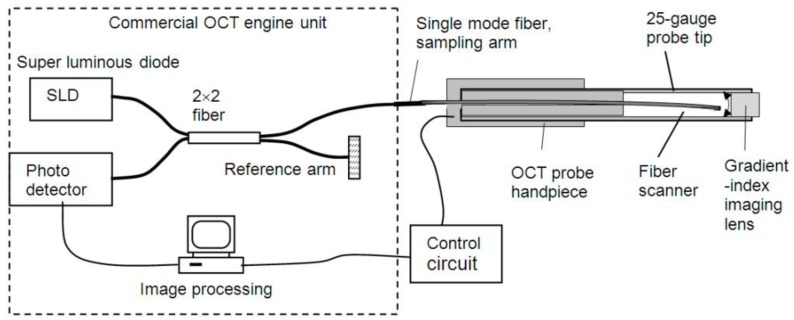 Fig. 1