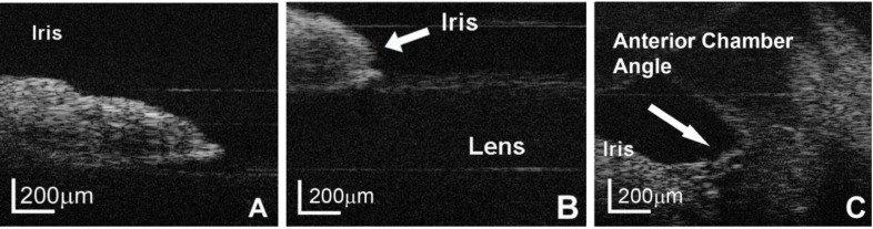 Fig.7