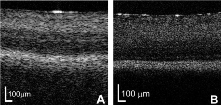 Fig. 9