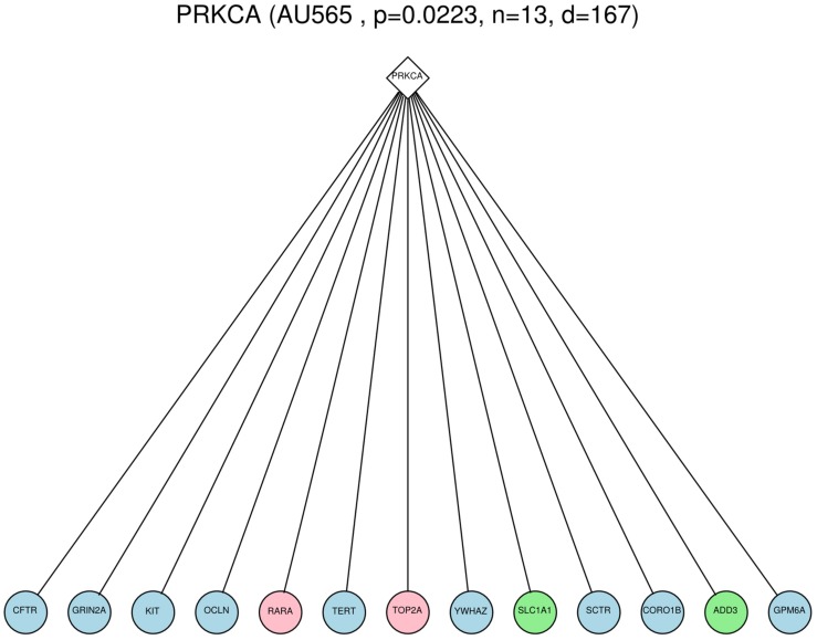 FIGURE 1