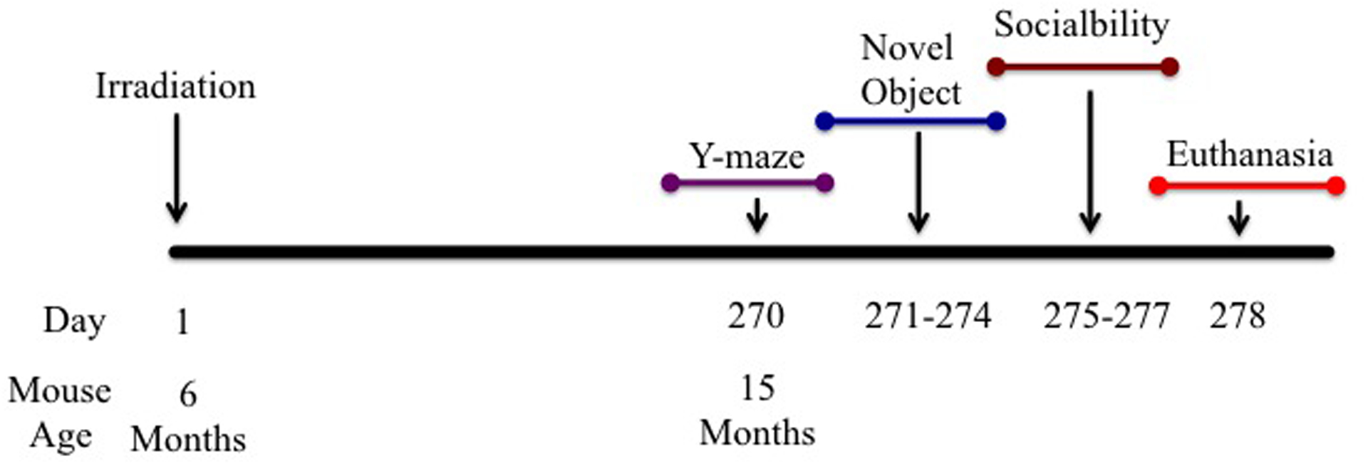 Schematic diagram showing experimental design.