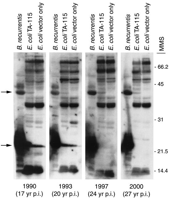 FIG. 5