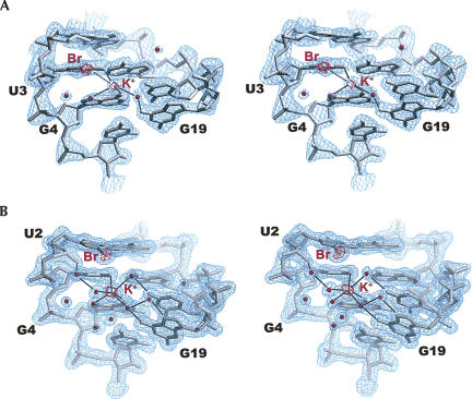 FIGURE 4.