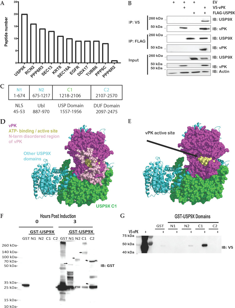 FIG 1