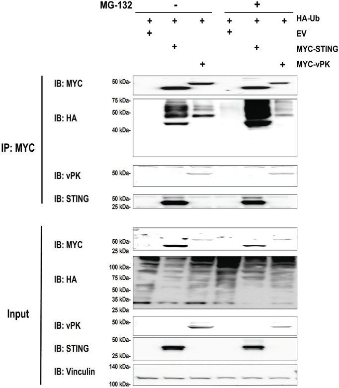 FIG 2