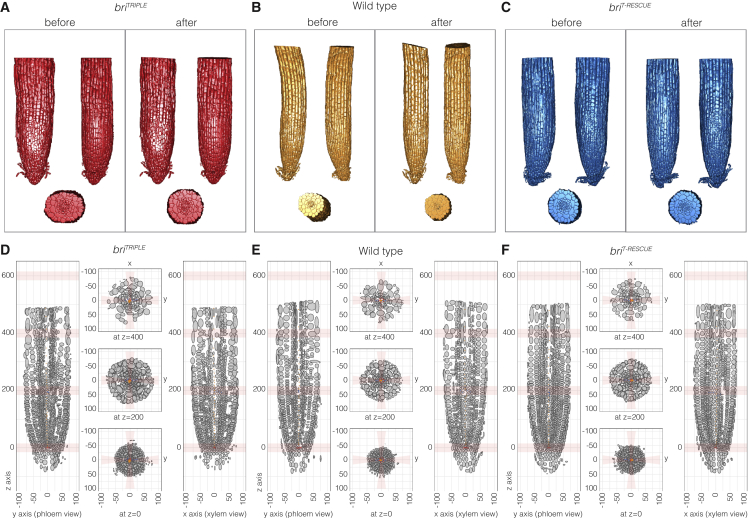 Figure 3