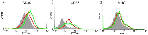 FIG 2 