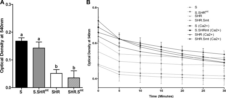 Fig. 5.